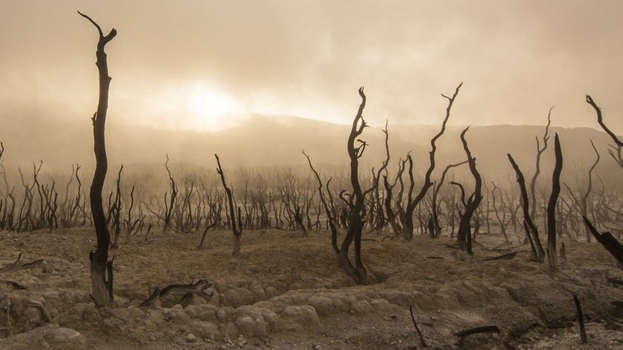 Les fortes concentrations de gaz à effet de serre marquent l'avènement d'une nouvelle réalité climatique, selon l'OMM