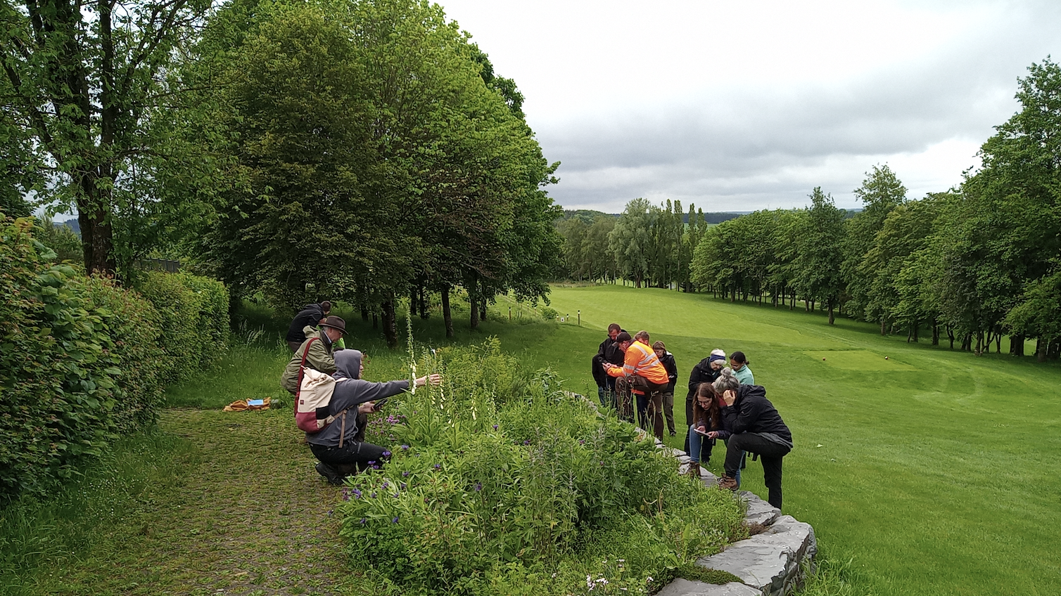 Formation en gestion écologique des espaces verts dans le parc naturel de l'Our