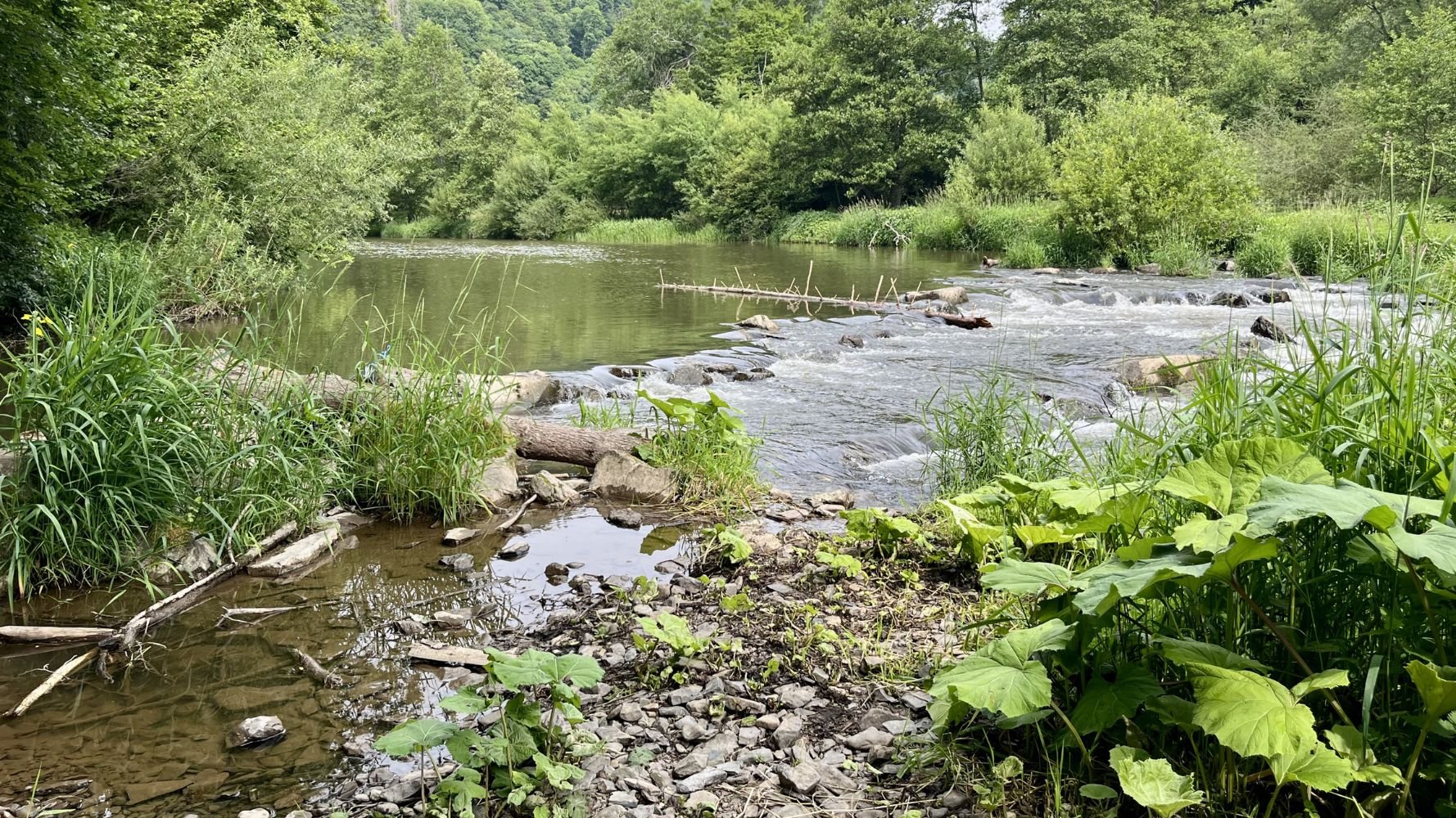Interdiction temporaire des prélèvements d'eau dans les cours d'eau