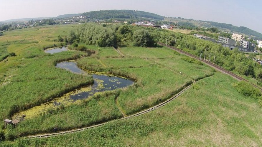 Visite guidée de la zone humide « Schlammwiss » à Uebersyren