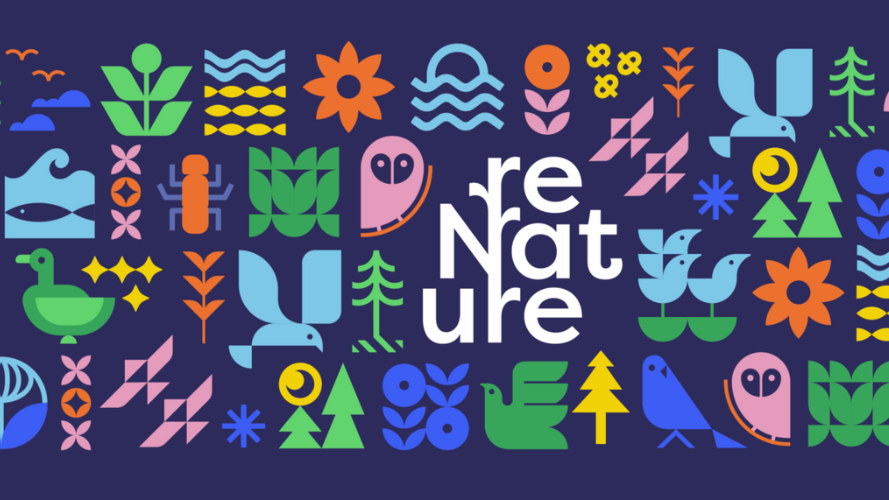 Lancement de l'appel à projets « reNature – restaurer la biodiversité »