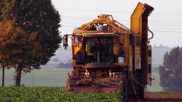 GES : l'agriculture est aussi coupable !