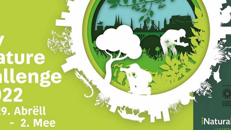 City Nature Challenge 2022 : Luxembourg