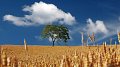 Fernand Etgen au Conseil Agriculture et pêche de l'UE à Luxembourg (27.-28.06.2016)