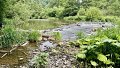 Obstacles et défis du Luxembourg face à la biodiversité et à la pollution