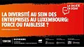 La diversité au sein des entreprises au Luxembourg