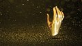 Prix de l'Innovation dans l'Artisanat 2017 « The Hands of Innovation » : 12 entreprises en finale