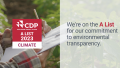 TK Elevator confirms top sustainability ratings by CDP, EcoVadis, Sustainalytics