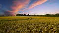 SIGNA accélère son essor dans la certification bio au Luxembourg et en Wallonie