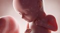 70 substances chimiques par jour : un danger invisible pour les enfants