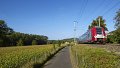 La protection de l'environnement est dans la nature de la Société nationale des Chemins de Fer luxembourgeois et de ses activités