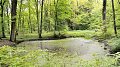 Sentier nature Mardellepad, un parcours accessible et inclusif au cœur du site