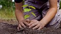 Plantez un arbre pour marquer la signature de l'Accord de Paris le 22 avril