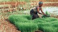 SOS Faim entre dans le capital d'un fonds dédié à l'agriculture africaine