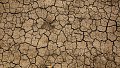 Face au dérèglement climatique, agissons ensemble !