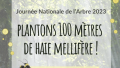 Journée de l'Arbre - Plantation d'une haie mellifère à Junglister