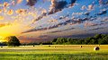 Une politique agricole gagnante pour le climat et la biodiversité