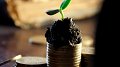 L'économie circulaire : Qu'est-ce que c'est ? Quelles opportunités pour ma petite entreprise ?