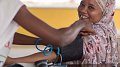 Webinar : les femmes actrices de leur santé