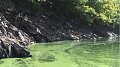 Prolifération des algues bleues : le LIST est sur le qui-vive