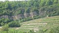 Projet pilote - Restauration de vignobles en terrasses