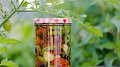 Atelier de cuisine : conservation des aliments