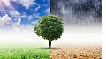 Atelier : comprendre les causes et conséquences du changement climatique