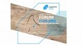 Wood Cluster Forum