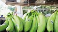 La banane Fairtrade au top du classement Oeko-Test
