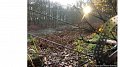 Gravel tour im Betebuerger Besch