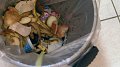 Les déchets au Grand-Duché de Luxembourg - Résultats de l'étude 2018/2019