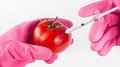 Un nouveau projet de loi du ministère de la Santé souligne la position critique vis-à-vis des OGM