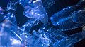 L'impact du plastique sur l'environnement et l'homme