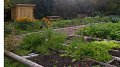Participez à un jardin communautaire