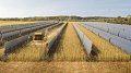 L'agriculture, partenaire de l'énergie durable