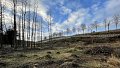 Lutte contre le changement climatique à travers l'adaptation de nos forêts