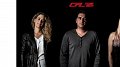 CFL recrute !