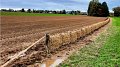 Clé de sol pour partition agricole