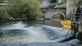 Une course de canards fun, caritative et durable, ce samedi à Luxembourg