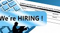 Les partenaires d'Infogreen recrutent !