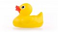 Duck Race