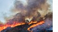 Gigantesques feux de forêt en Indonésie