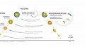 L'industrie de la construction circulaire : utopie ou réalité ?