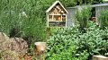 Atelier pédagogique jardin Breedewee