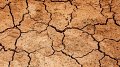 Meteorologische Analyse 2020 : wärmstes Jahr seit 1838 und Trockenheit prägen die Landwirtschaft