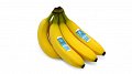 Delhaize est le premier distributeur belge à proposer des bananes neutres en CO2