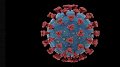 Coronavirus : précautions à suivre