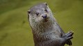 Participez à la campagne #HandsOffNature
