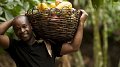 Fairtrade : changer le commerce, c'est changer des vies