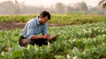 Renforcer la résilience des petits exploitants grâce à l'agroécologie
